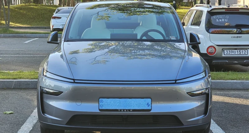Tesla Model Y Dual Motor AWD Teknolojisi