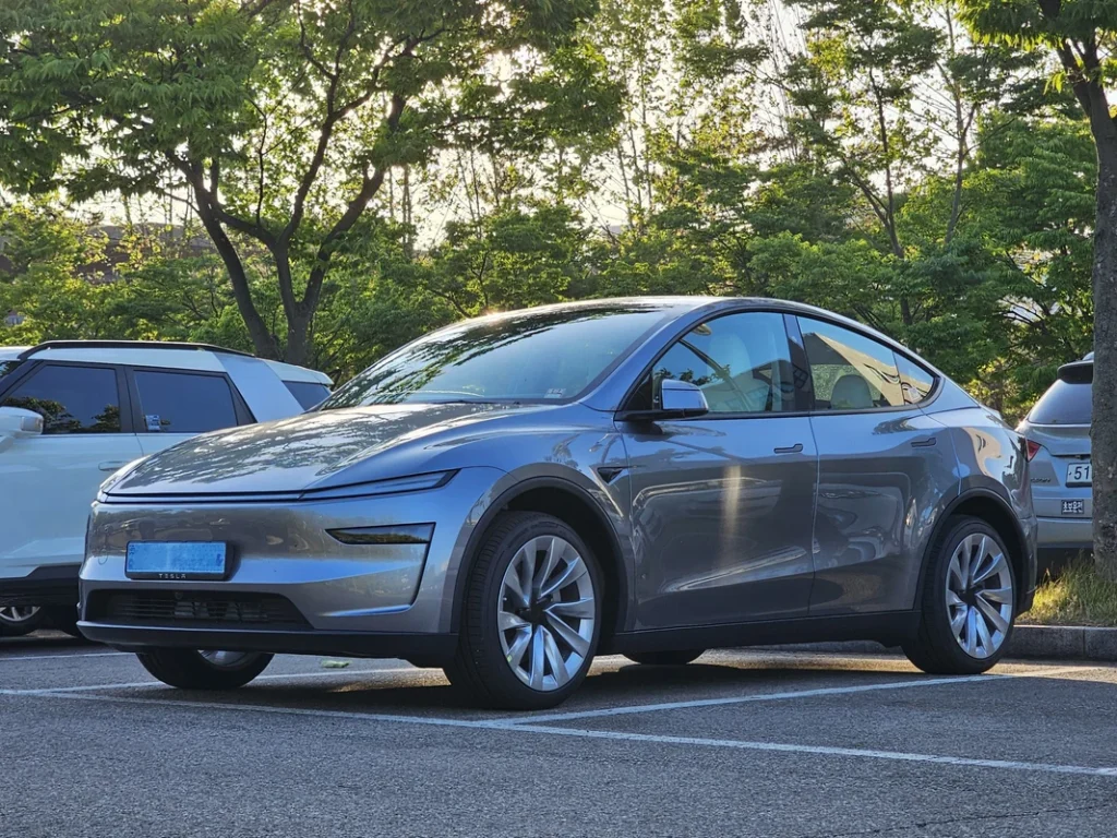 Tesla Model Y Dual Motor Arka Bagaj Logosu